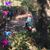 Lisa Folstad-Roney's profile image