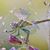 Kathy Herdman's profile image