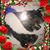 Jessica Rieder's profile image