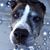 Kim Shepherd's profile image