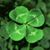 Brenda Parrish's profile image