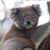 Terri Boucher's profile image