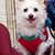 Sandra Wright-Hackler's profile image