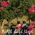 Rhonda Waid's profile image