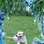 Carol Doig-johnson's profile image