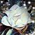 Kathy Pereira's profile image