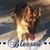 Courtney Parham Stewart's profile image