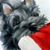 Connie McDowell Collum's profile image