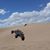 Allan Goeser's profile image