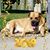 Shari Hayner Rife's profile image