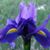 Ruthann Wilkins's profile image