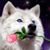 Patricia-carlisle Rousseau's profile image