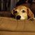 Michelle Mordan's profile image