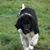 Jenny Howd's profile image