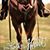 Stacey Capps's profile image