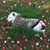 Jrhl Dailey's profile image