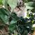 Jacky Letourneau's profile image