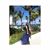 Rami Park's profile image