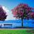 Nancy Van Sant Fazakerley's profile image