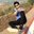 Manish Soni's profile image