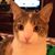 Diana Curry's profile image