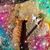 Erin Ray's profile image