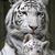 Kathy Adams's profile image