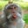 Robert Beck's profile image