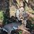 Steve Hasler's profile image