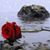 Lori G Anderson's profile image