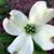 Barbara Gunter's profile image