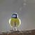 Robin Lentz's profile image