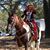 Laura Paton's profile image