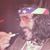 José Arenas's profile image