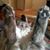 Patricia D Cooper's profile image