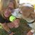 Nanci Kamins Reggina's profile image