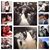 Tamara Bates's profile image