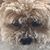 Lynne Sebille-White's profile image