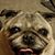 Willie Blake's profile image