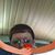 Norma Pugh's profile image