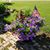 Bobbie Kastel's profile image