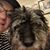Tiffany Stafford Smith's profile image