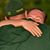 Jack Hathaway's profile image