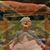 Derek Collins's profile image