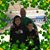 Amy DeYoung's profile image