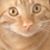 Pat Roies's profile image