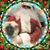 Kathy Rogers Cyr's profile image