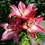 Kathleen Ellington's profile image