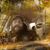 Dominic Jon Morris's profile image