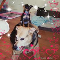 Michele A Blough's profile image